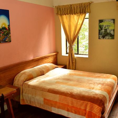 Hostal Loro Verde Quito Ngoại thất bức ảnh
